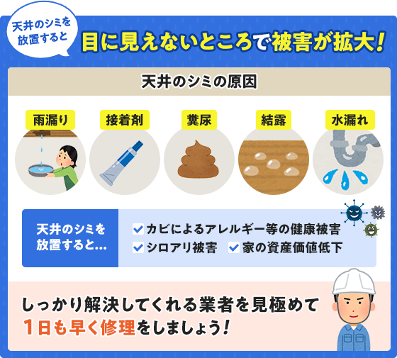 放っておくと、目に見えないところで被害が大きくなります
