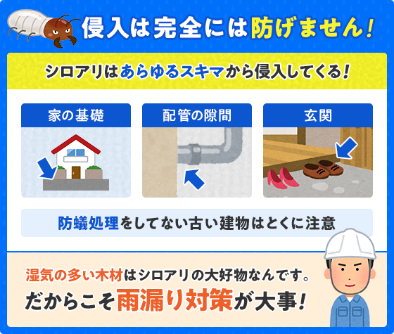 シロアリの侵入は防げません