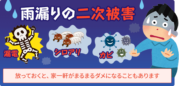 ほうっておくと怖い雨漏りの二次被害:家が傷んだり、害虫が発生したり