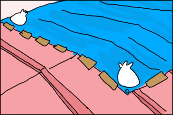 ブルーシートで覆う