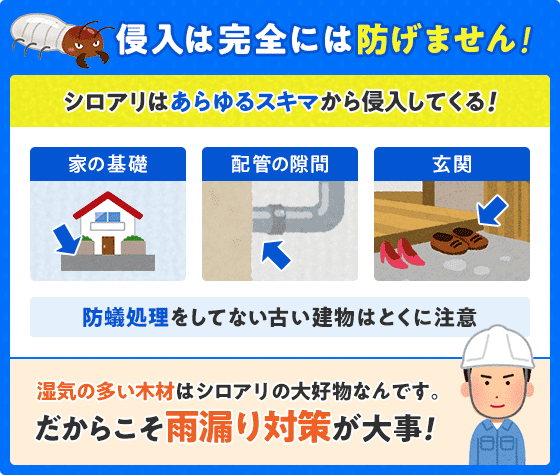 シロアリの侵入は防げません