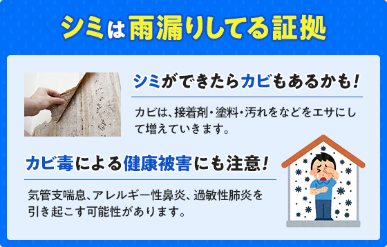 シミは雨漏りの証拠