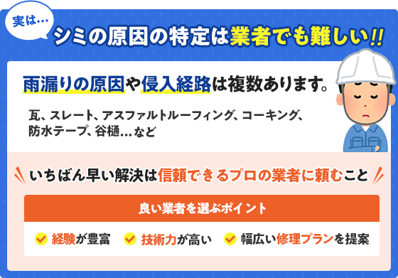 一番早い解決は信頼できるプロの業者に頼むこと